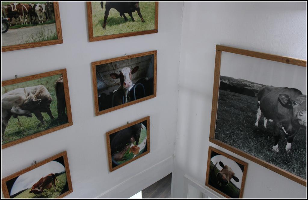 Hotel Artfarm Wiehl Kültér fotó
